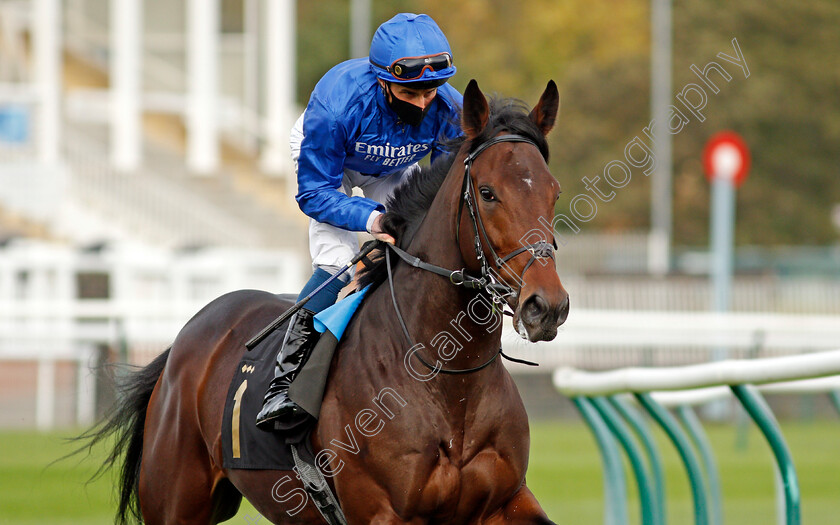 Adayar-0002 
 ADAYAR (William Buick) winner of The EBF Stallions Golden Horn Maiden Stakes
Nottingham 28 Oct 2020 - Pic Steven Cargill / Racingfotos.com