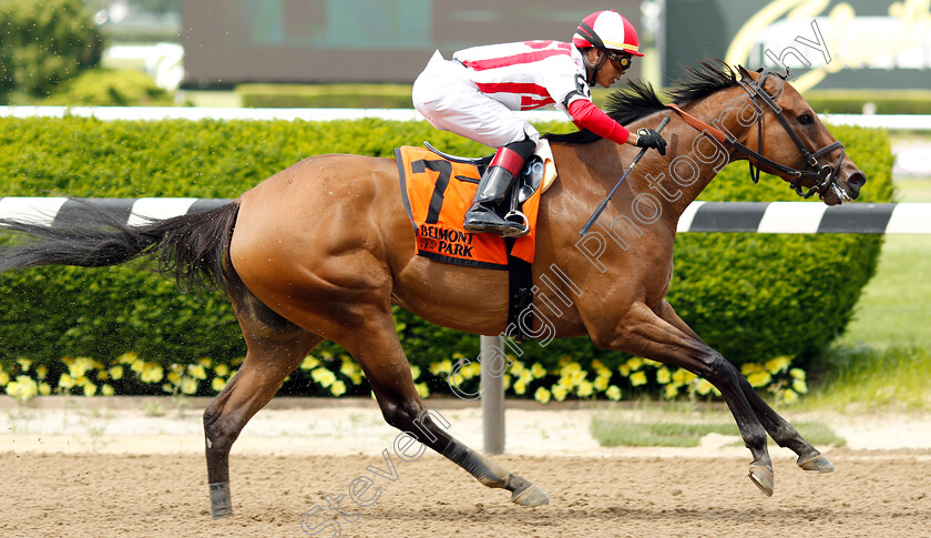 Separationofpowers-0009 
 SEPARATIONOFPOWERS (Jose Ortiz) wins The Bed O'Roses Invitational
Belmont Park USA 7 Jun 2019 - Pic Steven Cargill / Racingfotos.com