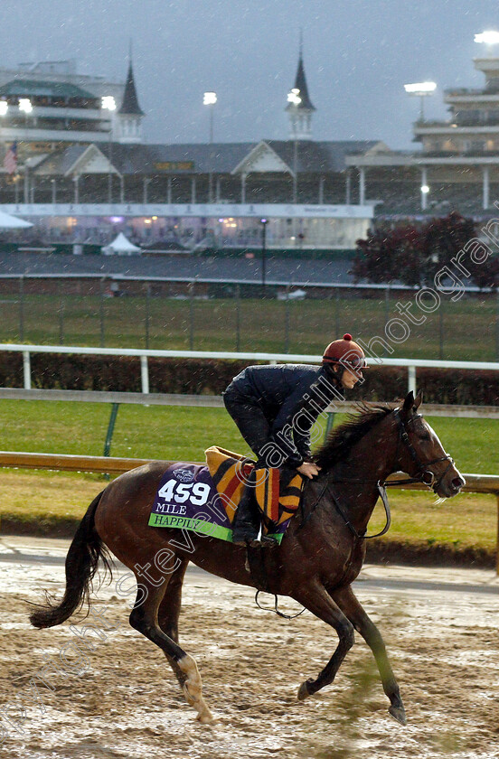 Happily-0001 
 HAPPILY exercising ahead of The Breeders' Cup Mile
Churchill Downs USA 1 Nov 2018 - Pic Steven Cargill / Racingfotos.com