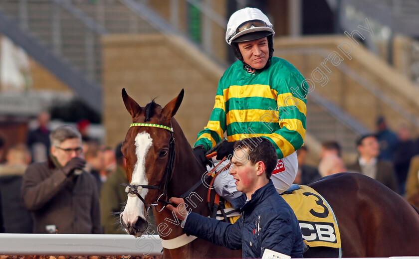 Apple s-Shakira-0001 
 APPLE'S SHAKIRA (Barry Geraghty) before winning The JCB Triumph Trial Juvenile Hurdle Cheltenham 16 Dec 2017 - Pic Steven Cargill / Racingfotos.com