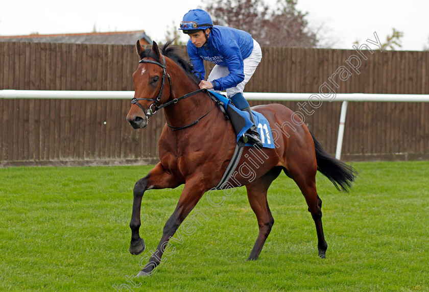 Yukon-Star-0002 
 YUKON STAR (William Buick)
Leicester 12 Oct 2021 - Pic Steven Cargill / Racingfotos.com