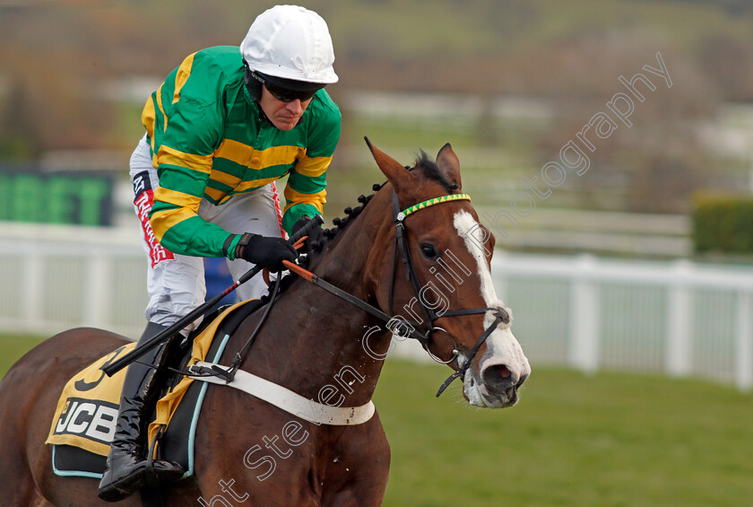 Apple s-Shakira-0004 
 APPLE'S SHAKIRA (Barry Geraghty) wins The JCB Triumph Trial Juvenile Hurdle Cheltenham 16 Dec 2017 - Pic Steven Cargill / Racingfotos.com