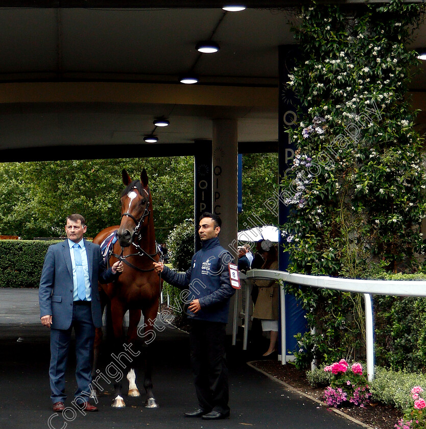 Enable-0002 
 ENABLE waits to enter the parade ring before The King George VI & Queen Elizabeth Stakes
Ascot 27 Jul 2019 - Pic Steven Cargill / Racingfotos.com