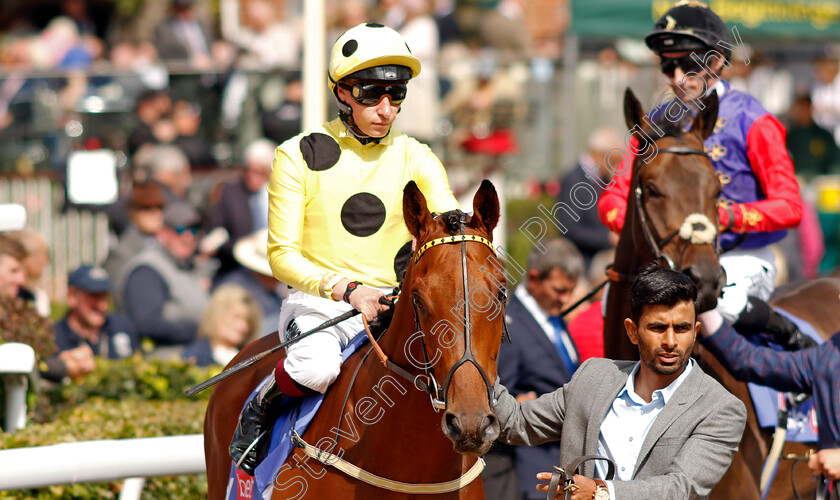 Imperial-Sovereign-0001 
 IMPERIAL SOVEREIGN (Sam James)
York 24 Aug 2024 - Pic Steven Cargill / Racingfotos.com