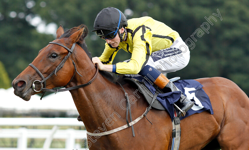 Solesmes-0006 
 SOLESMES (David Egan) wins The 188bet Live Casino Claiming Stakes
Lingfield 25 Jul 2018 - Pic Steven Cargill / Racingfotos.com