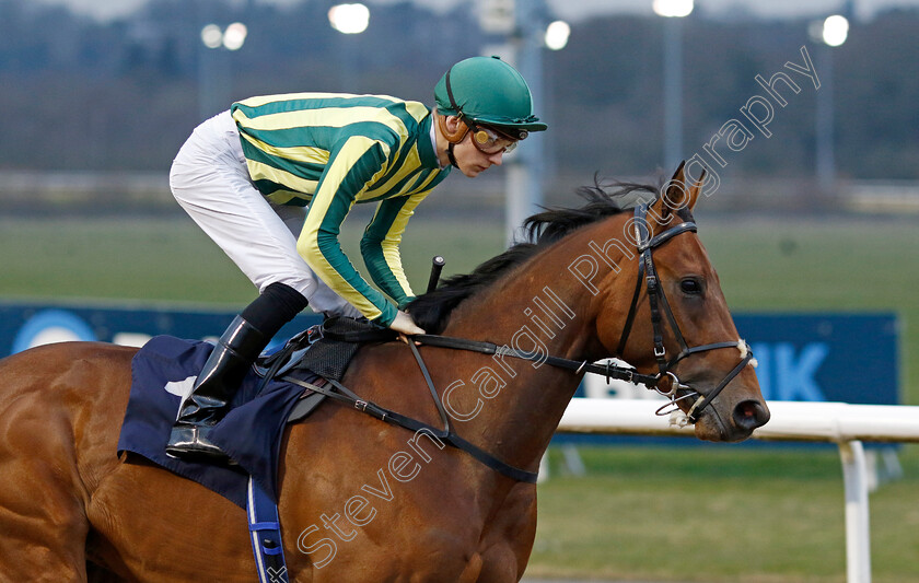 Neapolitan-0002 
 NEAPOLITAN (Harry Davies)
Wolverhampton 9 Mar 2024 - Pic Steven Cargill / Racingfotos.com