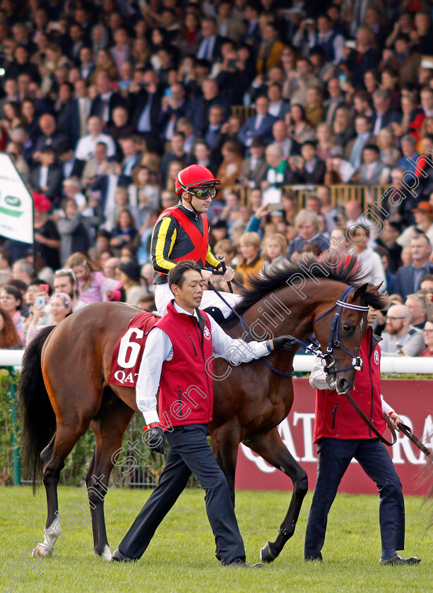 Fierement-0001 
 FIEREMENT (Christophe Lemaire)
Longchamp 6 Oct 2019 - Pic Steven Cargill / Racingfotos.com