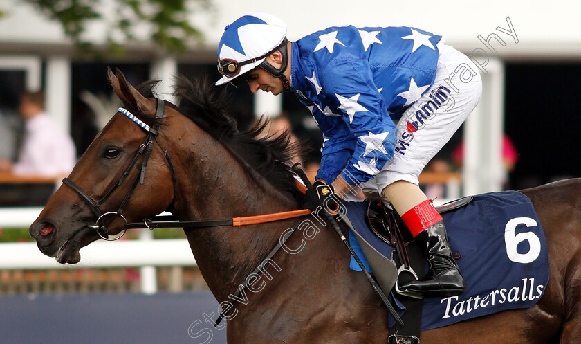 Qabala-0002 
 QABALA (Andrea Atzeni)
Newmarket 12 Jul 2019 - Pic Steven Cargill / Racingfotos.com