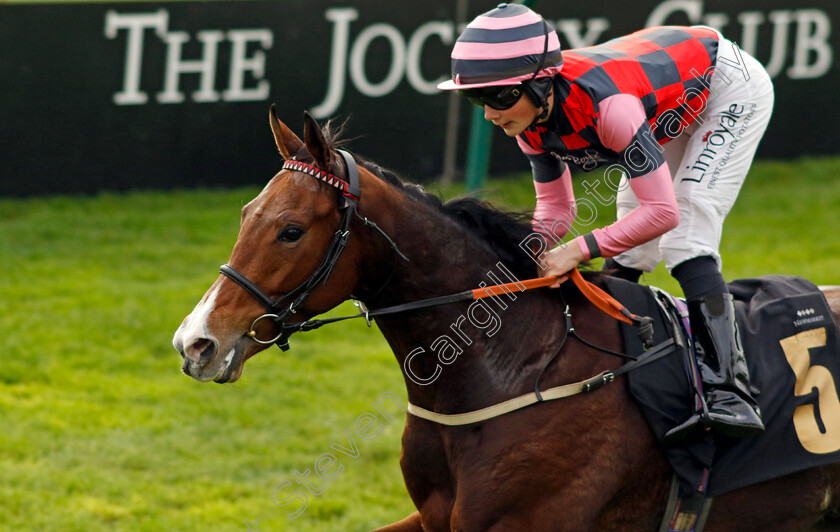 Many-Men-0001 
 MANY MEN (Jack Doughty) wins The British StallionStuds EBF Future Stayers Nursery
Newmarket 23 Oct 2024 - Pic Steven Cargill / Racingfotos.com