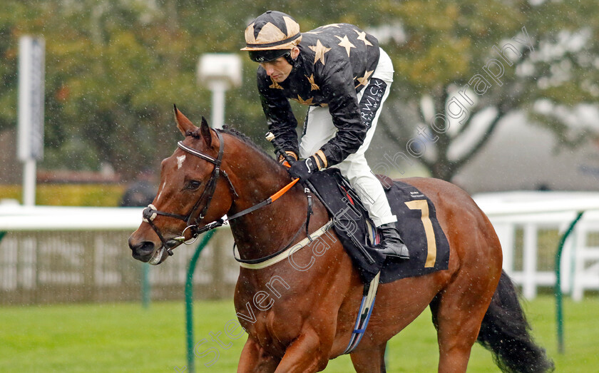 Macari-0001 
 MACARI (Trevor Whelan)
Newmarket 26 Sep 2024 - pic Steven Cargill / Racingfotos.com