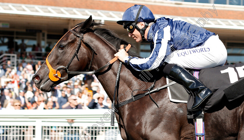 Theotherside-0005 
 THEOTHERSIDE (Pat Dobbs) wins The British Stallion Studs EBF Maiden Stakes Div1
Newbury 20 Sep 2019 - Pic Steven Cargill / Racingfotos.com