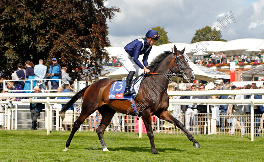 Alhambra-Palace-0002 
 ALHAMBRA PALACE (Adam Farragher)
York 26 Aug 2023 - Pic Steven Cargill / Racingfotos.com