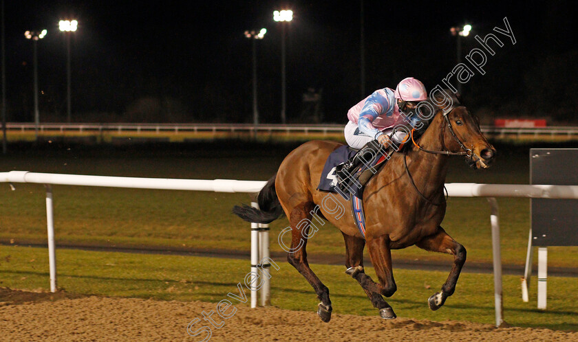 Jumira-Bridge-0005 
 JUMIRA BRIDGE (Lewis Edmunds) wins The Play 4 To Win At Betway Handicap Div2
Wolverhampton 18 Jan 2021 - Pic Steven Cargill / Racingfotos.com