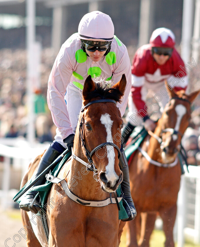 Faugheen-0002 
 FAUGHEEN (Paul Townend)
Cheltenham 12 Mar 2020 - Pic Steven Cargill / Racingfotos.com