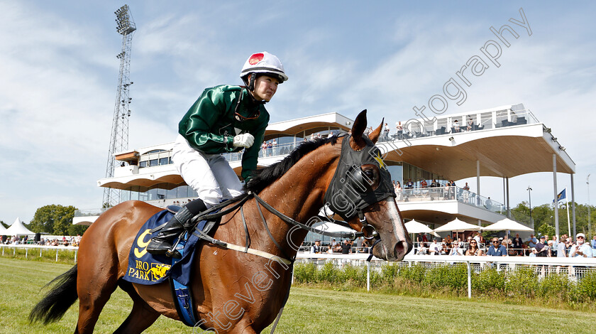 Chilterns-0008 
 CHILTERNS (Nanako Fujita) after The Women Jockeys' World Cup Leg5 
Bro Park, Sweden 30 Jun 2019 - Pic Steven Cargill / Racingfotos.com