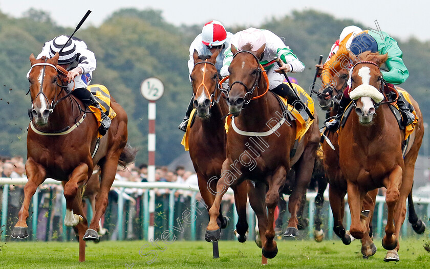 Shagraan-0003 
 SHAGRAAN (right, Oisin Murphy) beats JER BATT (centre) and LOOKING FOR LYNDA (left) in The Betfair Be Friendly Handicap
Haydock 7 Sep 2024 - Pic Steven Cargill / Racingfotos.com