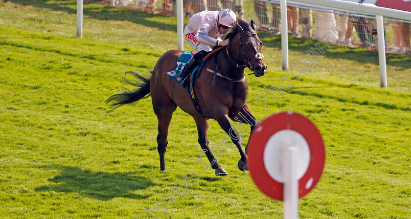 Another-Investment-0004 
 ANOTHER INVESTMENT (Jack Mitchell) wins The Irish Thoroughbred Marketing Handicap
York 16 Jun 2023 - Pic Steven Cargill / Racingfotos.com