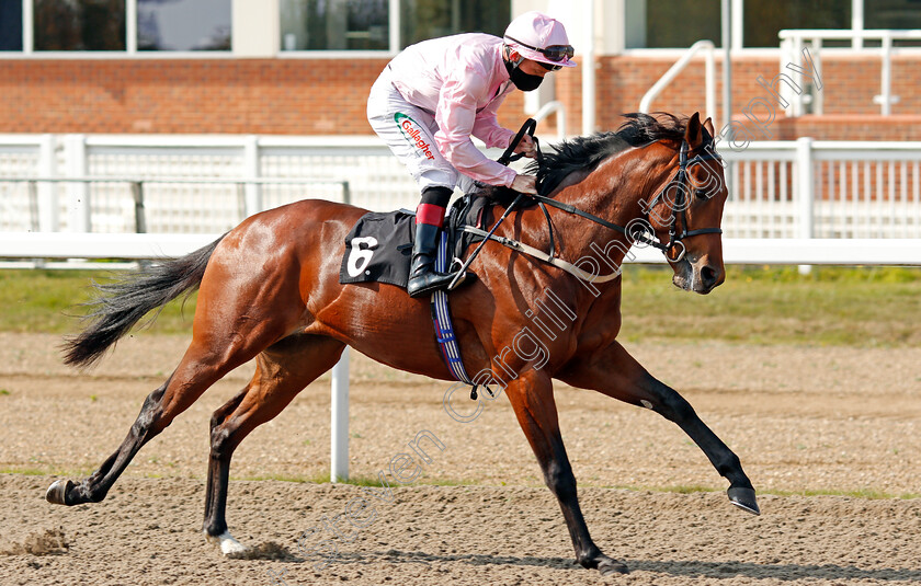 Liberated-Lad-0001 
 LIBERATED LAD (Shane Kelly)
Chelmsford 20 Sep 2020 - Pic Steven Cargill / Racingfotos.com