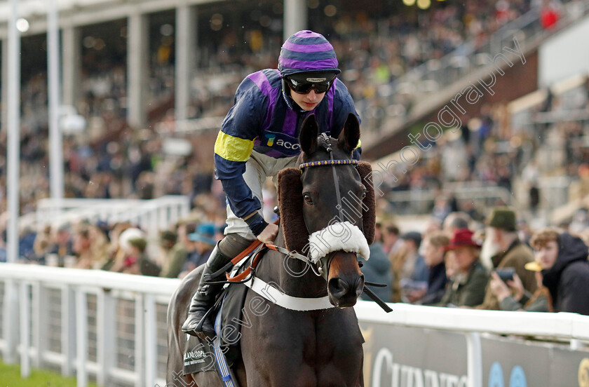 Abuffalosoldier-0016 
 ABUFFALOSOLDIER (Sean Bowen) winner of The Holland Cooper Handicap Chase
Cheltenham 17 Nov 2024 - Pic Steven Cargill / racingfotos.com