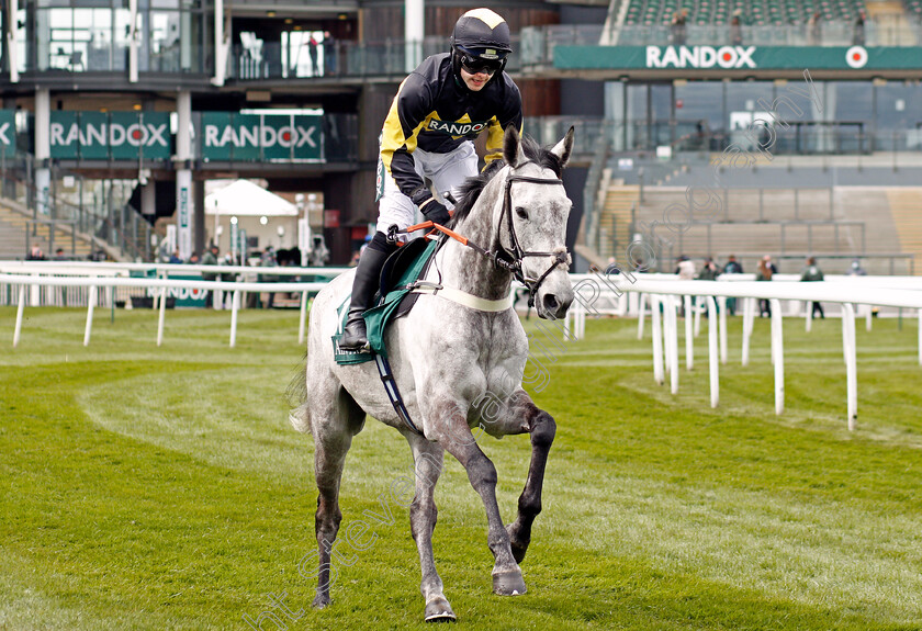 Eldorado-Allen-0001 
 ELDORADO ALLEN (Jonjo O'Neill jr)
Aintree 8 Apr 2021 - Pic Steven Cargill / Racingfotos.com