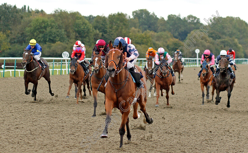 Road-To-Paris-0004 
 ROAD TO PARIS (Luke Morris) wins The First For Industry Jobs Visit Starrecruitment.bet Handicap
Lingfield 3 Oct 2019 - Pic Steven Cargill / Racingfotos.com