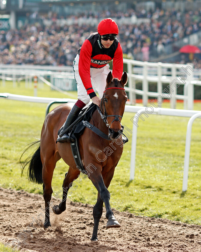 Sam-Brown-0002 
 SAM BROWN (Aidan Coleman) winner of The Betway Handicap Chase
Aintree 9 Apr 2022 - Pic Steven Cargill / Racingfotos.com