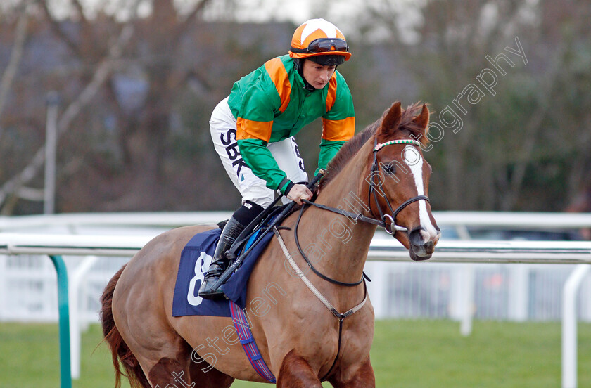 Laguna-Veneta 
 LAGUNA VENETA (Nicola Currie)
Lingfield 1 Dec 2021 - Pic Steven Cargill / Racingfotos.com