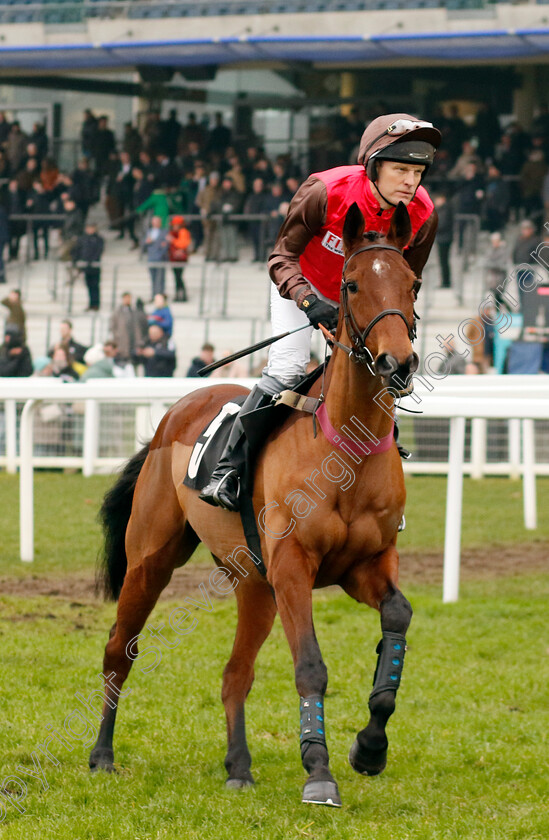 In-d Or-0006 
 IN D'OR (David Maxwell) wins The Betmgm Handicap Chase
Ascot 18 Jan 2025 - Pic Steven Cargill / Racingfotos.com