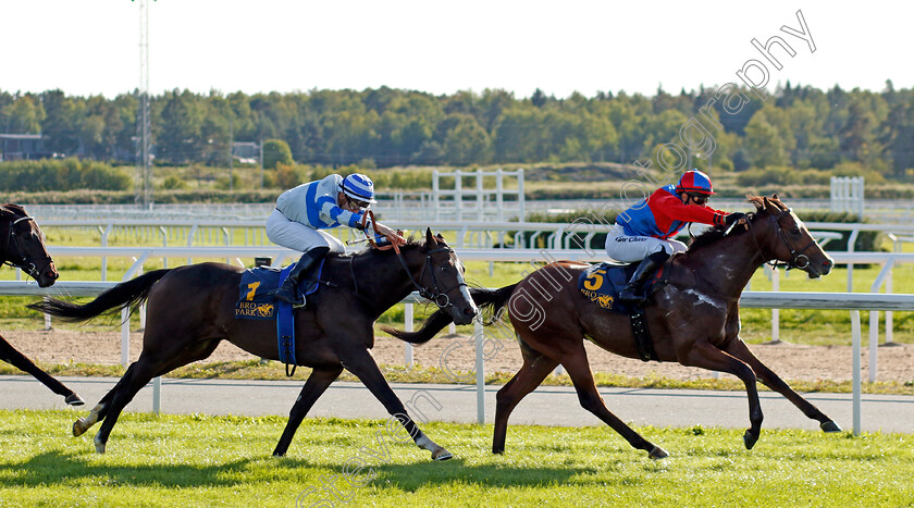 King-Of-Ten-0002 
 KING OF TEN (Elione Chaves) beats STAMFORD STREET (left) in The Appel Au Maitre Svealandlopning
Bro Park, Sweden 17 Sep 2023 - Pic Steven Cargill / Racingfotos.com