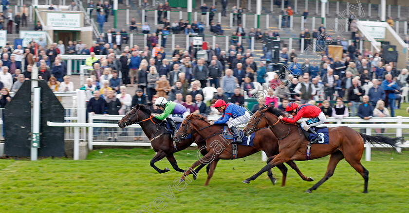 Cliffcake-0001 
 CLIFFCAKE (Lewis Edmunds) beats LIGHT LILY (centre) and KATYUSHA (right) in The Read Hollie Doyle's Column On attheraces.com Handicap
Yarmouth 19 Oct 2021 - Pic Steven Cargill / Racingfotos.com