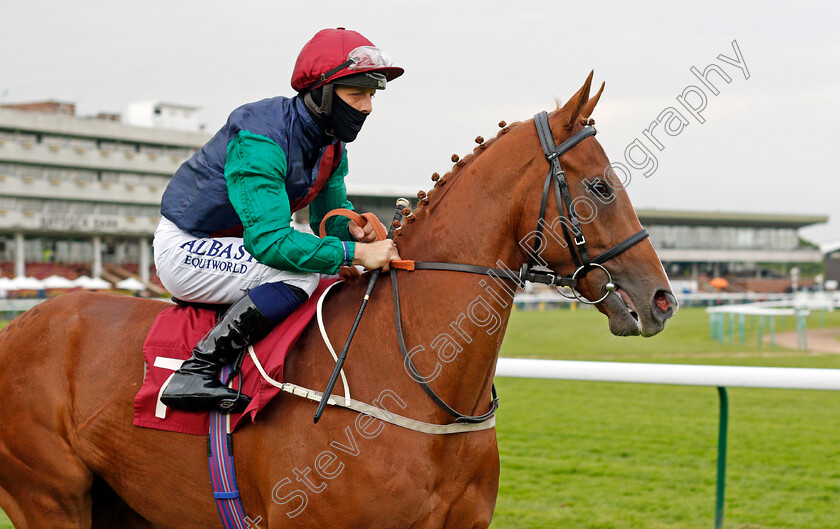 Whitefeathersfall-0001 
 WHITEFEATHERSFALL (Ben Curtis)
Haydock 28 May 2021 - Pic Steven Cargill / Racingfotos.com