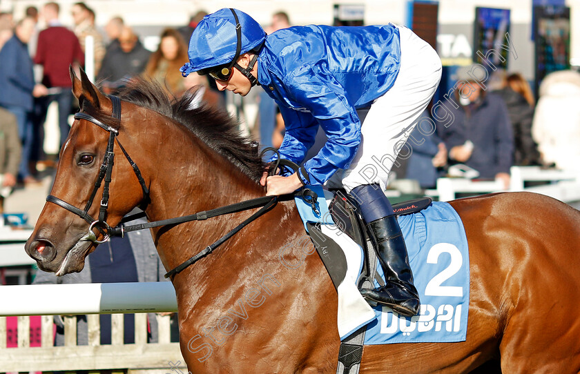 Noble-Dynasty-0002 
 NOBLE DYNASTY (William Buick)
Newmarket 11 Oct 2024 - Pic Steven Cargill / Racingfotos.com