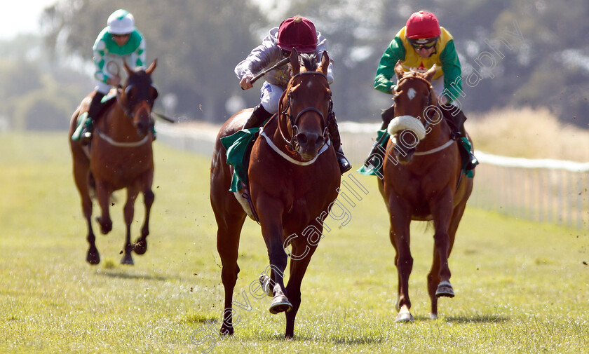 Aljady-0007 
 ALJADY (Paul Hanagan) wins The Follow @Racing_uk On Twitter Handicap
Thirsk 4 Jul 2018 - Pic Steven Cargill / Racingfotos.com