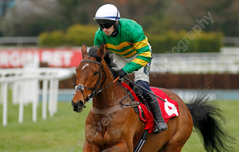 In-Excelsis-Deo-0001 
 IN EXCELSIS DEO (Jonathan Burke)
Sandown 3 Feb 2024 - Pic Steven Cargill / Racingfotos.com