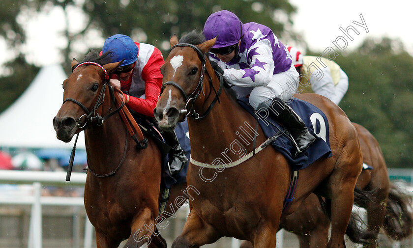 Lady-Aria-and-Ice-Gala-0001 
 LADY ARIA (right, Hayley Turner) with ICE GALA (left) 
Newmarket 10 Aug 2018 - Pic Steven Cargill / Racingfotos.com