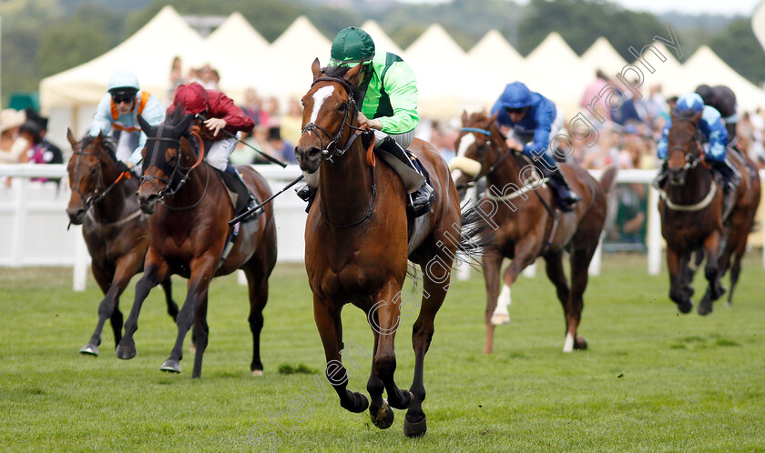 Settle-For-Bay-0004 
 SETTLE FOR BAY (Billy Lee) wins The Royal Hunt Cup
Royal Ascot 20 Jun 2018 - Pic Steven Cargill / Racingfotos.com