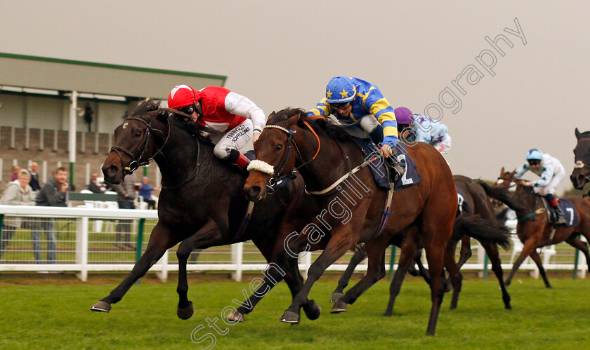 Kilbaha-Lady-0001 
 KILBAHA LADY (left, Lewis Edmunds) beats TITAN GODDESS (right) in The Great Yarmouth & Caister Golf Club Mechants Gallop Handicap Div2 Yarmouth 16 Oct 2017 - Pic Steven Cargill / Racingfotos.com