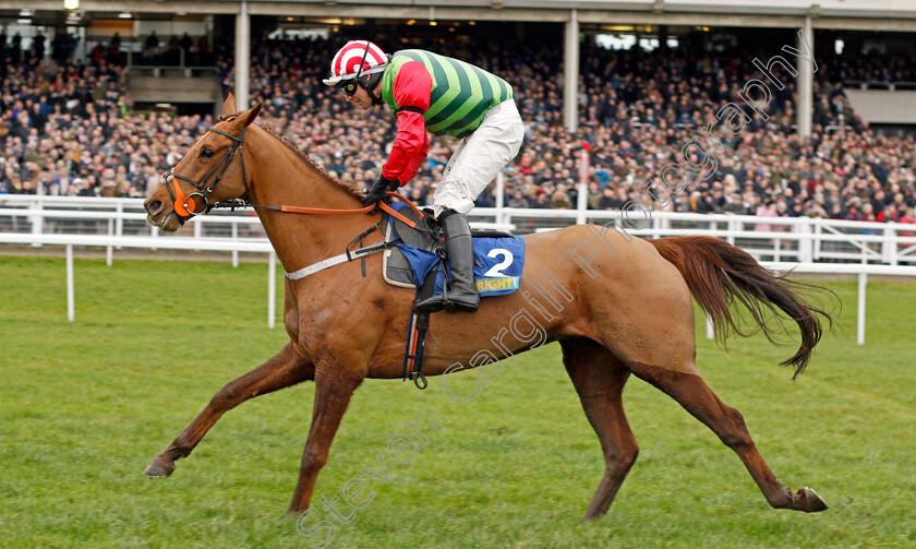 Definitly-Red-0006 
 DEFINITLY RED (Danny Cook) wins The BetBright Trial Cotswold Chase Cheltenham 27 Jan 2018 - Pic Steven Cargill / Racingfotos.com