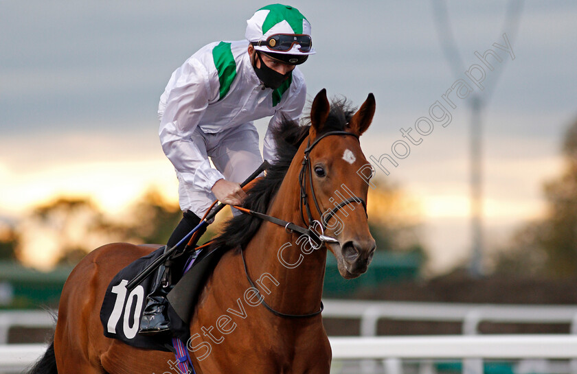 Shababiya-0001 
 SHABABIYA (Rob Hornby)
Chlemsford 8 Oct 2020 - Pic Steven Cargill / Racingfotos.com