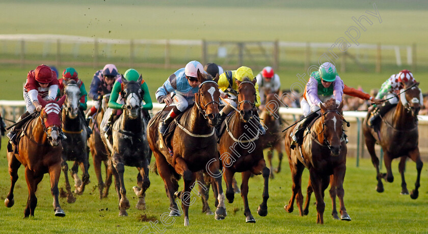 Astral-Beau-0005 
 ASTRAL BEAU (Shane Kelly) wins The Christmas Parties At Newmarket Handicap
Newmarket 29 Oct 2022 - Pic Steven Cargill / Racingfotos.com