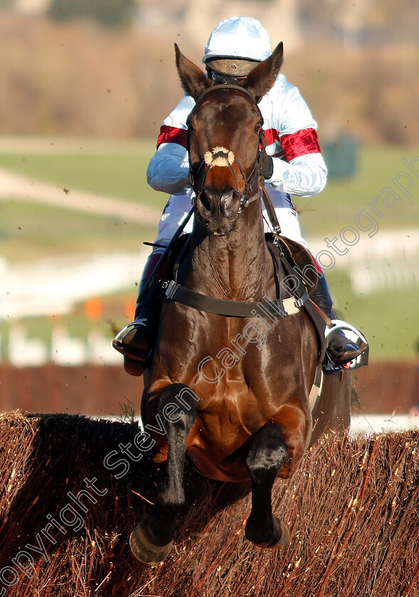 Lalor-0001 
 LALOR (Richard Johnson) wins The Racing Post Arkle Trophy Trial Novices Chase
Cheltenham 18 Nov 2018 - pic Steven Cargill / Racingfotos.com