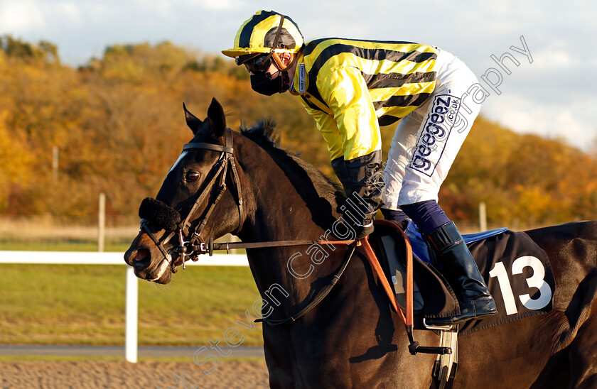 Livia-The-Empress-0002 
 LIVIA THE EMPRESS (David Probert)
Chelmsford 22 Oct 2020 - Pic Steven Cargill / Racingfotos.com