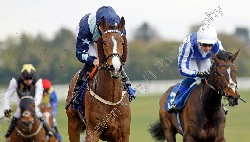 Bad-Company-0002 
 BAD COMPANY (Pat Cosgrave) wins The Betfred City And Suburban Handicap
Epsom 25 Apr 2023 - Pic Steven Cargill / Racingfotos.com