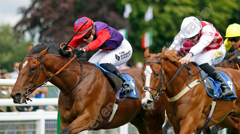 Pumalin-Park-0002 
 PUMALIN PARK (left, Saffie Osborne) beats SNUGGLE (right) in The George Jeffery Memorial Handicap
Salisbury 16 Jun 2024 - pic Steven Cargill / Racingfotos.com