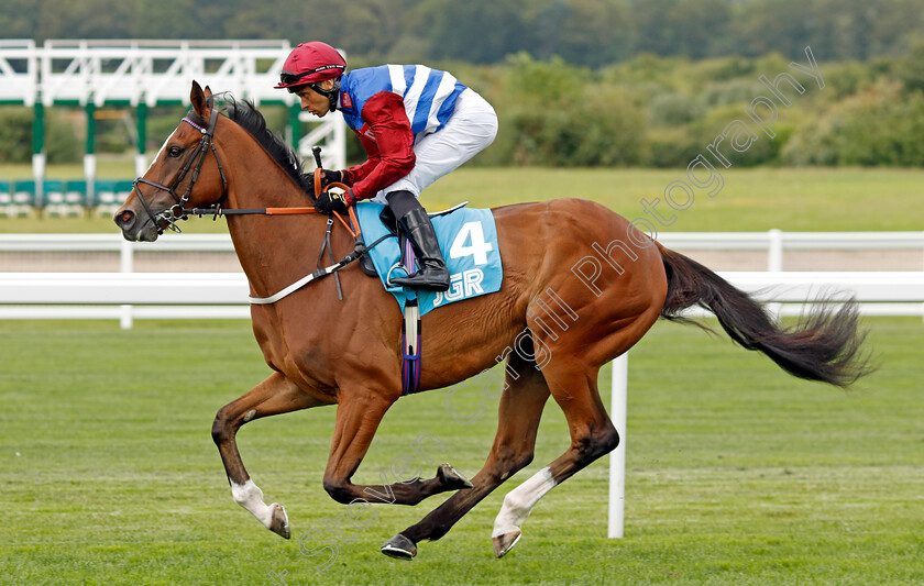 Insanity-0002 
 INSANITY (Sean Levey)
Ascot 26 Jul 2024 - Pic Steven Cargill / Racingfotos.com