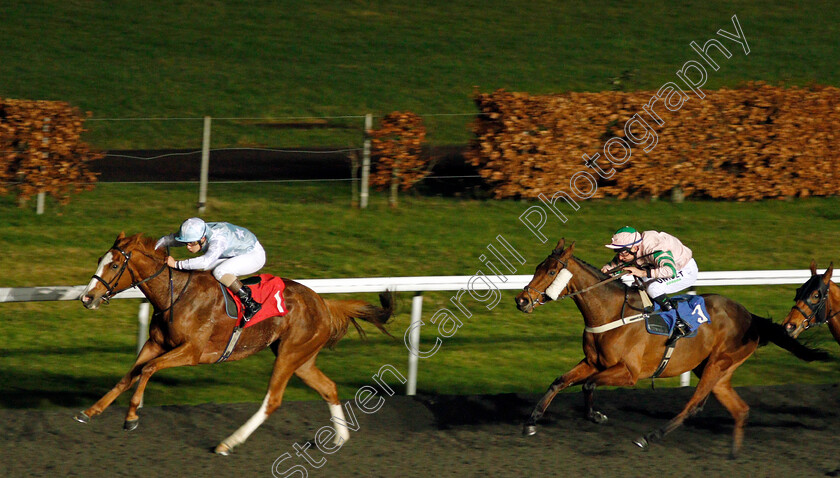 Guroor-0002 
 GUROOR (Stefano Cherchi) beats J GAYE (right) in The 100% Profit Boost At 32redsport.com Fillies Handicap
Kempton 19 Feb 2020 - Pic Steven Cargill / Racingfotos.com