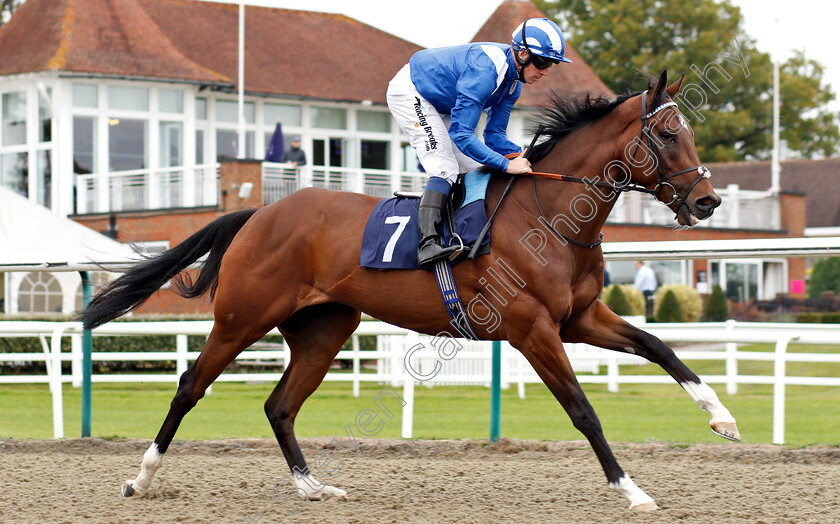 Thaayer-0002 
 THAAYER (Jim Crowley) 
Lingfield 4 Oct 2018 - Pic Steven Cargill / Racingfotos.com