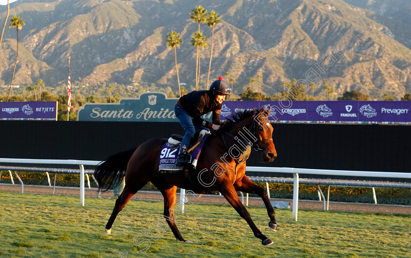 Givemethebeatboys-0002 
 GIVEMETHEBEATBOYS (Shane Foley) training for the Breeders' Cup Juvenile Turf Sprint
Santa Anita USA, 1 Nov 2023 - Pic Steven Cargill / Racingfotos.com