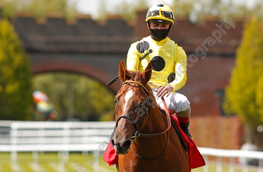 El-Drama-0011 
 EL DRAMA (Andrea Atzeni) after The tote+ Biggest Dividends At tote.co.uk Dee Stakes
Chester 6 May 2021 - Pic Steven Cargill / Racingfotos.com