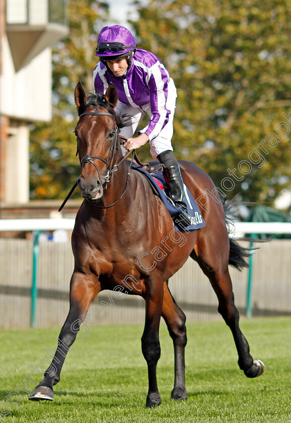 Wichita-0008 
 WICHITA (Ryan Moore) winner of The Tattersalls Stakes
Newmarket 26 Sep 2019 - Pic Steven Cargill / Racingfotos.com